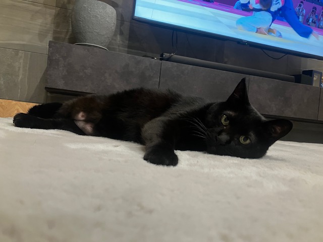 友達の紹介・・・その１